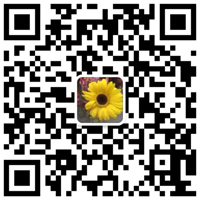 河北賀聰絲網(wǎng)制品有限公司